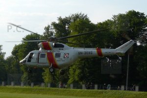 P1000204 (Kopiowanie).jpeg