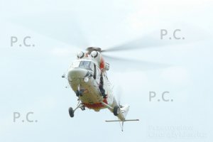 P1000326 (Kopiowanie).jpeg