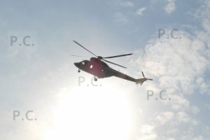 P1000302 (Kopiowanie).jpeg