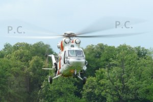 P1000327 (Kopiowanie).jpeg