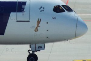 polish home army parachute badge dreamliner armia krajowa odznaka spadochronowa.JPG