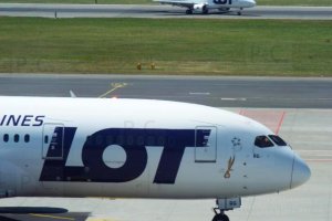 sp-lrg lot sp-ldg.JPG