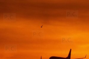 fotografowanie w kierunku slonca samolot ptaki zachod slonca.JPG