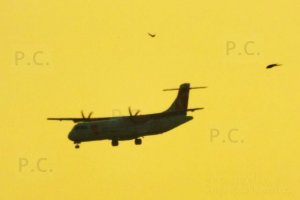 czech airlines atr birds warsaw poland.JPG
