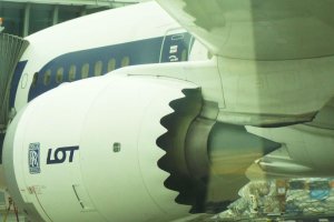 dreamliner engine exhaust cone pll lot logo.JPG