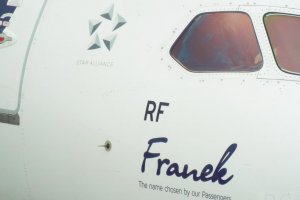 star alliance rf franek dreamliner.JPG