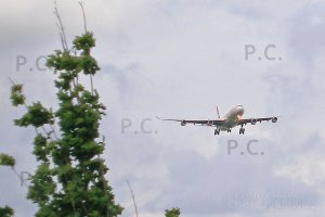 samolot roślina londyn