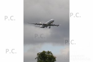 P6230236 (Kopiowanie).JPG