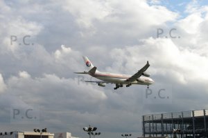 P6230275 (Kopiowanie).JPG