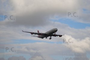 P6230255 (Kopiowanie).JPG