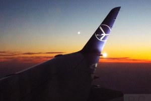 polish embraer 170 wingtip winglet crane logo.JPG