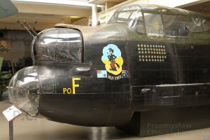 P4060146 (Kopiowanie).JPG