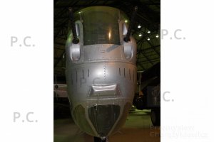 P4080054_1 (Kopiowanie).JPG