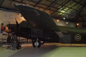 P4080101 (Kopiowanie).JPG