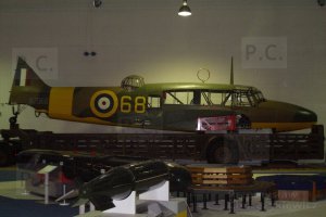 P4080100 (Kopiowanie).JPG