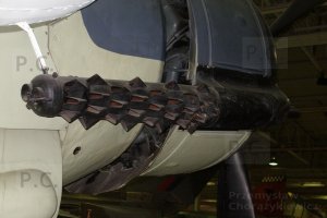 P4080105 (Kopiowanie).JPG