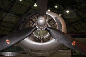 P4080051_1 (Kopiowanie).JPG