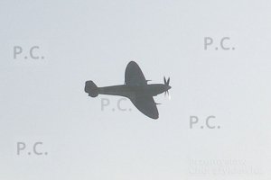 PC160110 (Kopiowanie).jpeg