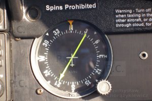 PC160179 (Kopiowanie).JPG