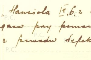 historia przemysl chorazykiewicz francuskie samoloty w lotnictwie polskim.JPG