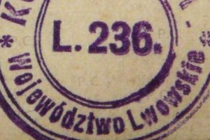 wojewodztwo lwowskie kolo lopp 236.JPG