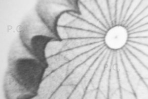 detale przedwojennego spadochronu.JPG