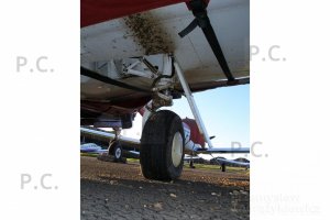 PC160223 (Kopiowanie).JPG