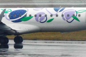 polish plum yummy yummy embraer 195 sp-lnc.JPG