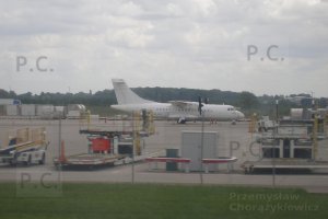 P5310688 (Kopiowanie).jpg