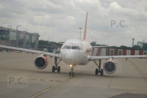 P5310698 (Kopiowanie).JPG