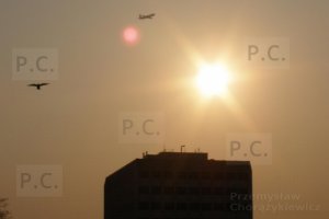 aircraft and birds samoloty i ptaki higherthanjumbojets.pl