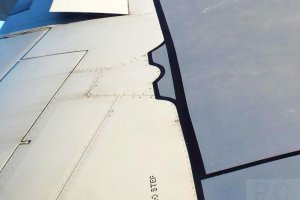 wing details no step boeing 737 splua blue air sp-lua.JPG