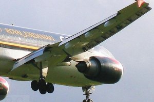 f-odvf a310 royal jordanian cargo.jpg