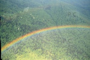 Negative7-32-33(1) (Kopiowanie).jpg