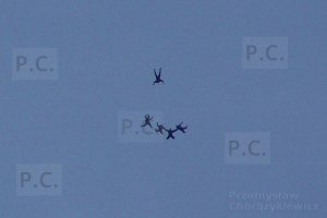 100_0707 - Kopia (Kopiowanie).jpg