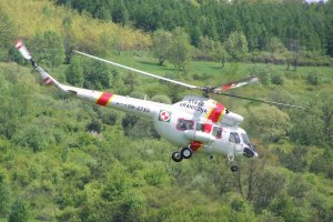 100_0373 (Kopiowanie).JPG