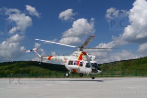 100_0425 (Kopiowanie).JPG