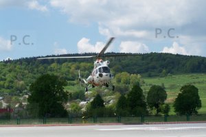 100_0421 (Kopiowanie).JPG