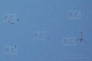 100_0625 - Kopia (Kopiowanie).jpg