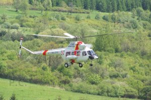 100_0374 (Kopiowanie).JPG