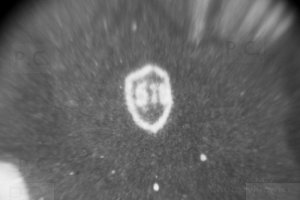 tarcza szkolna gimnazjum 578 przemysl historia.JPG