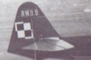 rwd-8 polish air force chequerboard.JPG