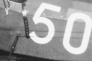 white 50 rwd-8 bialy numer 50.JPG