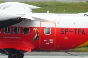 inspekcja-lotnicza-sptpa-papuga-parrot.JPG