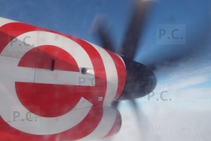 DSCF1829 (Kopiowanie).JPG