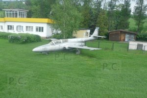 P1000397 (Kopiowanie).JPG