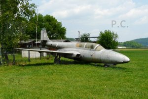 P1000082 (Kopiowanie).JPG