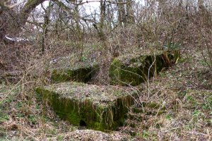 Forest Stairway Fort IXa Ujkowice Przemysl Fortress
