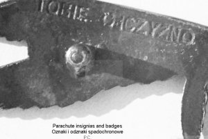tobie-ojczyzno-polish-paras-badge.JPG