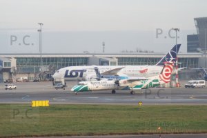 DSCF9147 (Kopiowanie).JPG